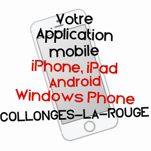 application mobile à COLLONGES-LA-ROUGE / CORRèZE