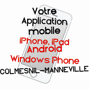 application mobile à COLMESNIL-MANNEVILLE / SEINE-MARITIME
