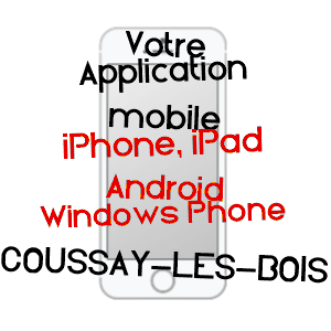 application mobile à COUSSAY-LES-BOIS / VIENNE