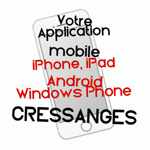 application mobile à CRESSANGES / ALLIER