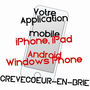 application mobile à CRèVECOEUR-EN-BRIE / SEINE-ET-MARNE