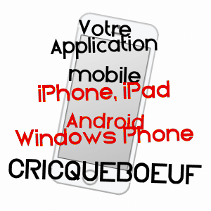 application mobile à CRICQUEBOEUF / CALVADOS