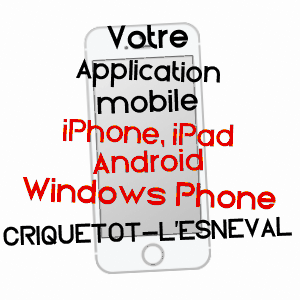 application mobile à CRIQUETOT-L'ESNEVAL / SEINE-MARITIME