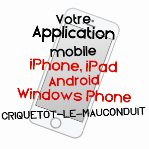 application mobile à CRIQUETOT-LE-MAUCONDUIT / SEINE-MARITIME