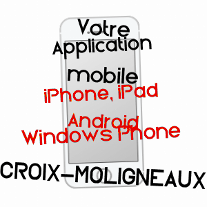 application mobile à CROIX-MOLIGNEAUX / SOMME