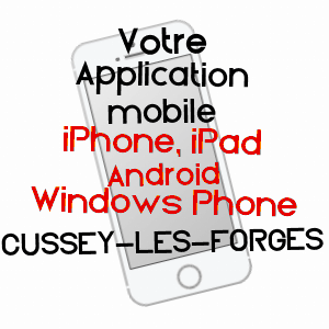application mobile à CUSSEY-LES-FORGES / CôTE-D'OR