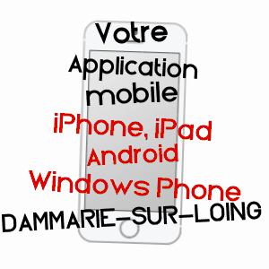 application mobile à DAMMARIE-SUR-LOING / LOIRET