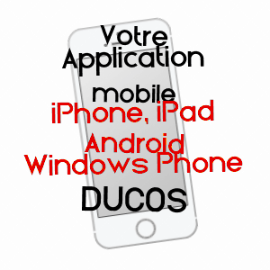 application mobile à DUCOS / MARTINIQUE