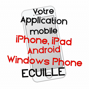 application mobile à ECUILLé / MAINE-ET-LOIRE