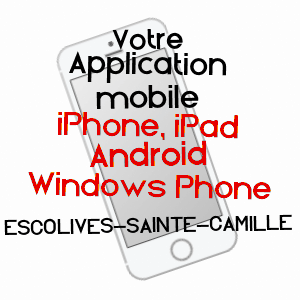 application mobile à ESCOLIVES-SAINTE-CAMILLE / YONNE