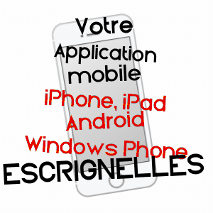 application mobile à ESCRIGNELLES / LOIRET