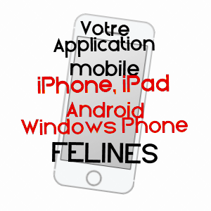 application mobile à FéLINES / HAUTE-LOIRE