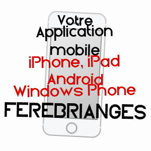 application mobile à FèREBRIANGES / MARNE