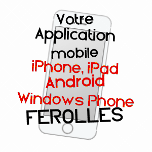 application mobile à FéROLLES / LOIRET