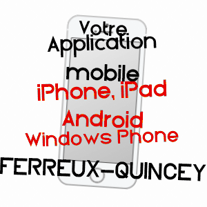 application mobile à FERREUX-QUINCEY / AUBE