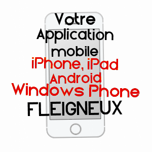 application mobile à FLEIGNEUX / ARDENNES