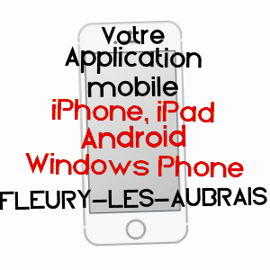 application mobile à FLEURY-LES-AUBRAIS / LOIRET