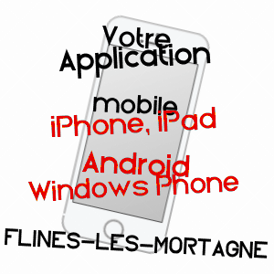 application mobile à FLINES-LèS-MORTAGNE / NORD
