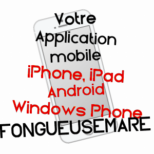 application mobile à FONGUEUSEMARE / SEINE-MARITIME