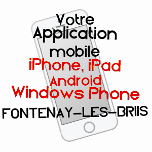 application mobile à FONTENAY-LèS-BRIIS / ESSONNE