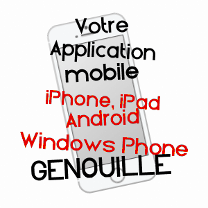application mobile à GENOUILLé / VIENNE