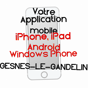 application mobile à GESNES-LE-GANDELIN / SARTHE