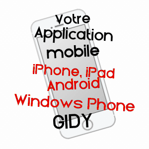 application mobile à GIDY / LOIRET