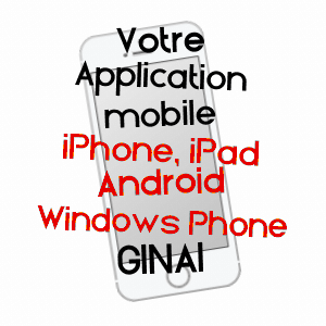 application mobile à GINAI / ORNE