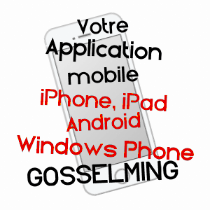 application mobile à GOSSELMING / MOSELLE