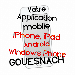 application mobile à GOUESNACH / FINISTèRE