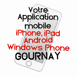 application mobile à GOURNAY / INDRE