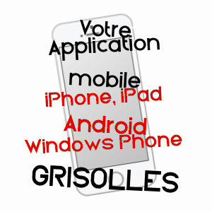 application mobile à GRISOLLES / TARN-ET-GARONNE