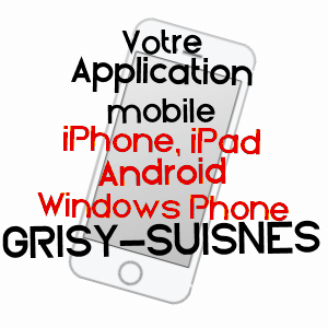 application mobile à GRISY-SUISNES / SEINE-ET-MARNE