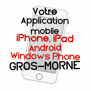 application mobile à GROS-MORNE / MARTINIQUE
