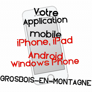 application mobile à GROSBOIS-EN-MONTAGNE / CôTE-D'OR
