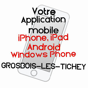 application mobile à GROSBOIS-LèS-TICHEY / CôTE-D'OR