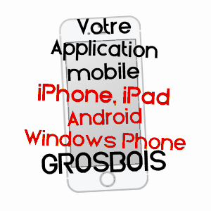 application mobile à GROSBOIS / DOUBS