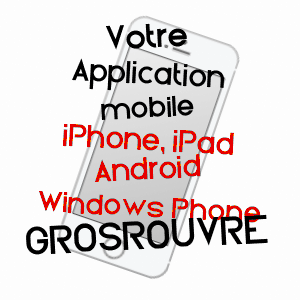 application mobile à GROSROUVRE / YVELINES