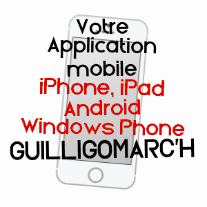 application mobile à GUILLIGOMARC'H / FINISTèRE