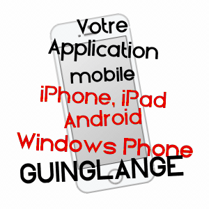 application mobile à GUINGLANGE / MOSELLE