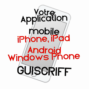 application mobile à GUISCRIFF / MORBIHAN