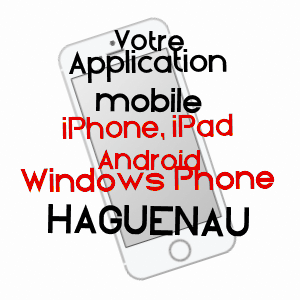application mobile à HAGUENAU / BAS-RHIN