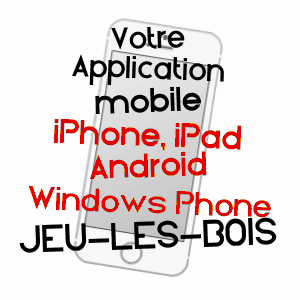 application mobile à JEU-LES-BOIS / INDRE