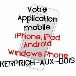application mobile à KERPRICH-AUX-BOIS / MOSELLE