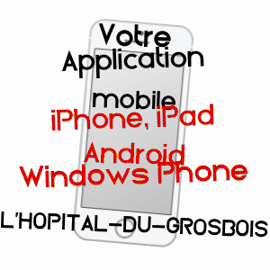 application mobile à L'HôPITAL-DU-GROSBOIS / DOUBS