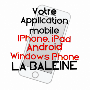 application mobile à LA BALEINE / MANCHE