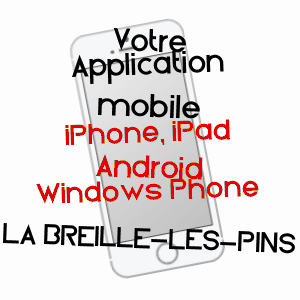 application mobile à LA BREILLE-LES-PINS / MAINE-ET-LOIRE