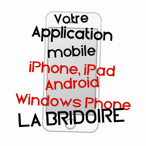 application mobile à LA BRIDOIRE / SAVOIE