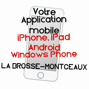 application mobile à LA BROSSE-MONTCEAUX / SEINE-ET-MARNE