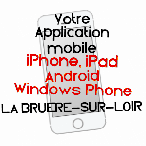 application mobile à LA BRUèRE-SUR-LOIR / SARTHE